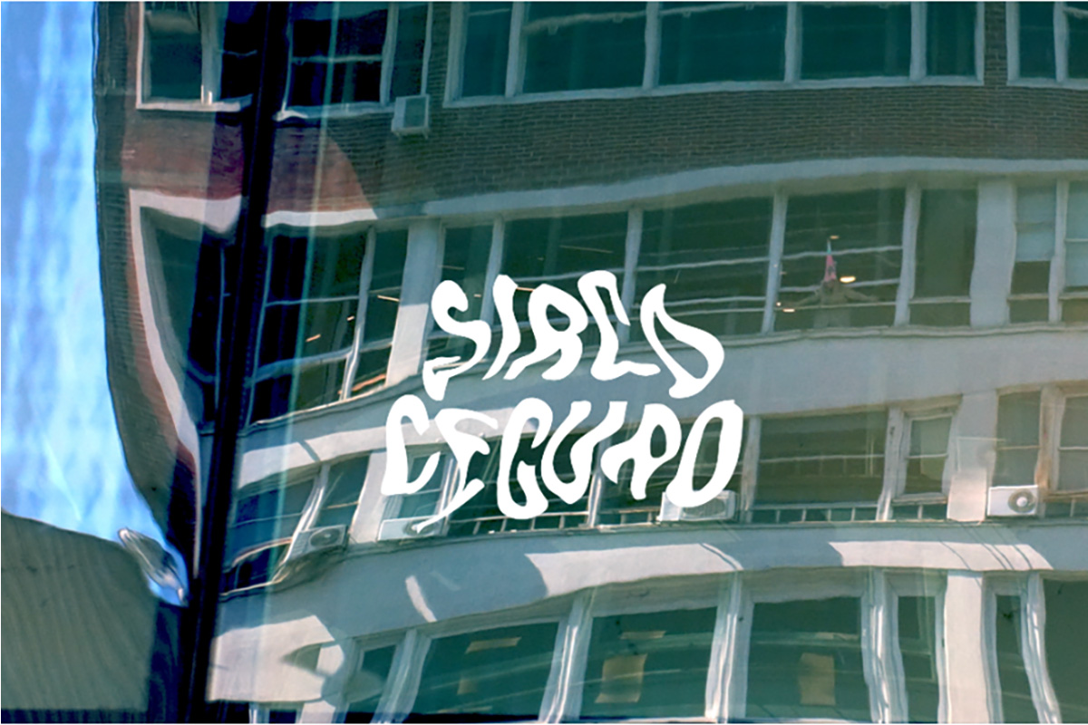 Liv Schulman ↝ “SIRCO CEGURO”, INSTALLATION AT THE DI TELLA ART CENTER (BUENOS AIRES, ARGENTINA)